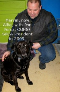 Marvin_after