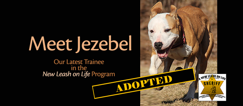 Meet Jezebel