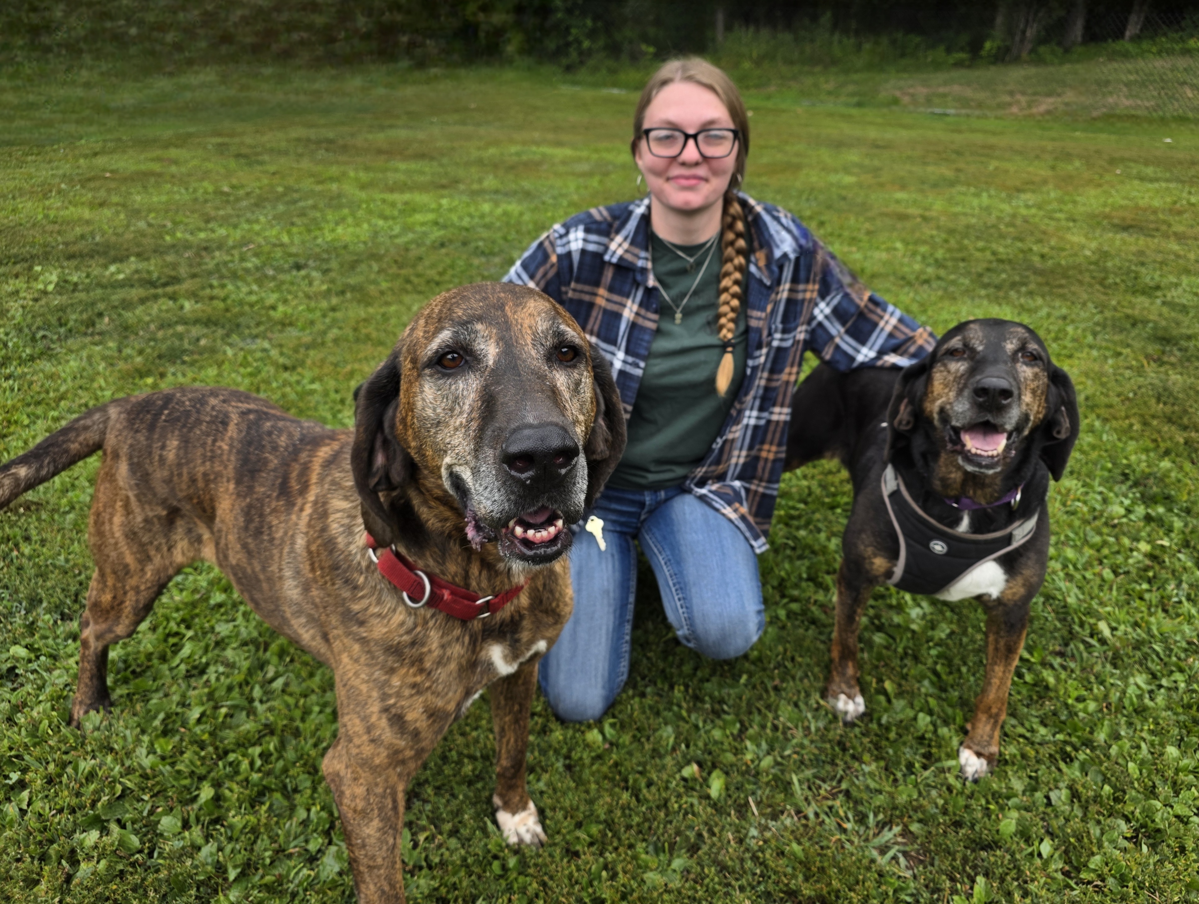 The Columbia-Greene Humane Society/SPCA is Thrilled to Share That